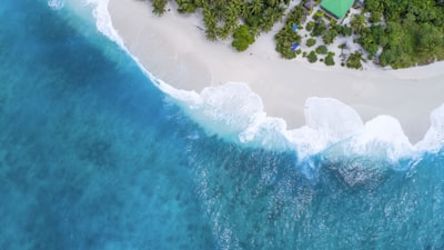 Guest stay in Mission Beach